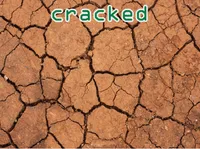 Định nghĩa của từ <b>cracked</b>