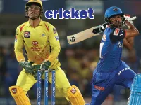 Định nghĩa của từ <b>cricket</b>