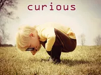 Định nghĩa của từ <b>curious</b>
