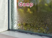 Định nghĩa của từ <b>damp</b>