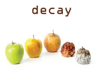 Định nghĩa của từ <b>decay</b>