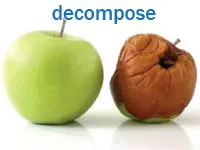 Định nghĩa của từ <b>decompose</b>