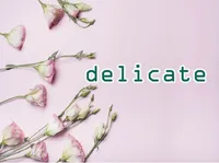 Định nghĩa của từ <b>delicate</b>