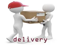 Định nghĩa của từ <b>delivery</b>