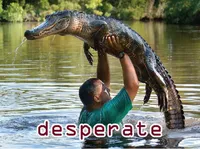 Định nghĩa của từ <b>desperate</b>