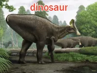 Định nghĩa của từ <b>dinosaur</b>