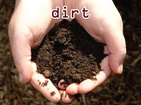 Định nghĩa của từ <b>dirt</b>