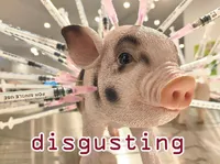 Định nghĩa của từ <b>disgusting</b>