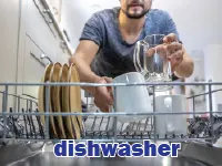 Định nghĩa của từ <b>dishwasher</b>