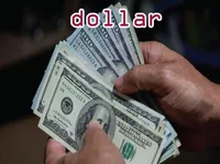 Định nghĩa của từ <b>dollar</b>