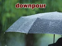 Định nghĩa của từ <b>downpour</b>