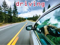 Định nghĩa của từ <b>driving</b>