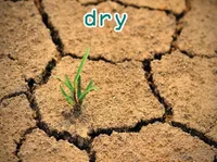 Định nghĩa của từ <b>dry</b>