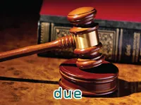 Định nghĩa của từ <b>due</b>