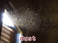 Định nghĩa của từ <b>dust</b>