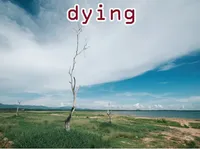 Định nghĩa của từ <b>dying</b>