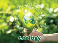 Định nghĩa của từ <b>ecology</b>