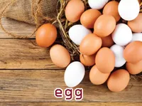 Định nghĩa của từ <b>egg</b>