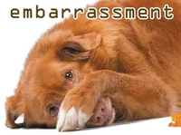 Định nghĩa của từ <b>embarrassment</b>