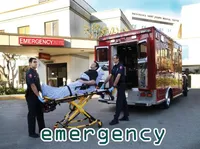 Định nghĩa của từ <b>emergency</b>