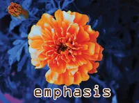 Định nghĩa của từ <b>emphasis</b>