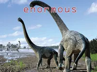Định nghĩa của từ <b>enormous</b>