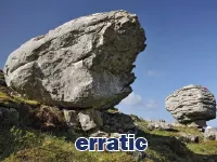 Định nghĩa của từ <b>erratic</b>
