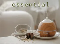 Định nghĩa của từ <b>essential</b>