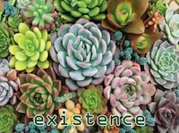 Định nghĩa của từ <b>existence</b>