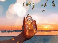 Định nghĩa của từ <b>fact</b>