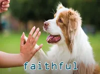 Định nghĩa của từ <b>faithful</b>