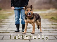Ý nghĩa của từ vựng <b>faithfully</b>