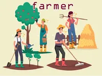 Định nghĩa của từ <b>farmer</b>