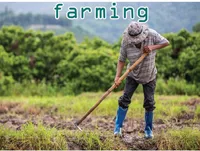 Định nghĩa của từ <b>farming</b>