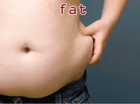 Định nghĩa của từ <b>fat</b>