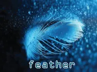 Định nghĩa của từ <b>feather</b>