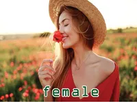 Định nghĩa của từ <b>female</b>