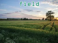 Định nghĩa của từ <b>field</b>