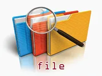 Định nghĩa của từ <b>file</b>