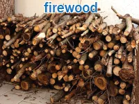 Định nghĩa của từ <b>firewood</b>