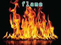Định nghĩa của từ <b>flame</b>