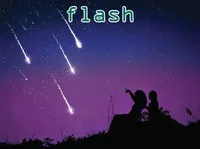 Định nghĩa của từ <b>flash</b>