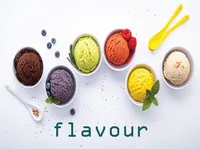 Định nghĩa của từ <b>flavour</b>