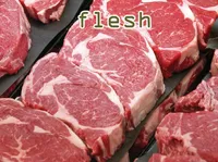 Định nghĩa của từ <b>flesh</b>