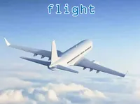 Định nghĩa của từ <b>flight</b>