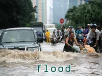 Định nghĩa của từ <b>flood</b>