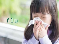 Định nghĩa của từ <b>flu</b>