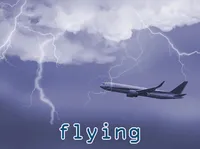 Định nghĩa của từ <b>flying</b>