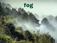 Định nghĩa của từ <b>fog</b>