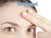 Định nghĩa của từ <b>forehead</b>